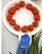 Tomato 'Santorini' 
