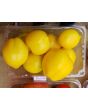 Tomato 'Plum Lemon' 