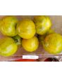Tomato 'Green Zebra'