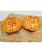 Tomato 'Copia' 