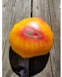 Tomato 'Striped German' 