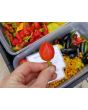 Hot Pepper ‘Inca Berry’ 
