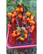 Eggplant 'Pumpkin on a Stick'