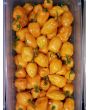 Hot Pepper 'Orange Habanero' 