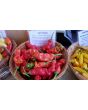 Hot Pepper ‘Red Peter’ 