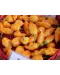 Hot Pepper 'Aji Mango' 