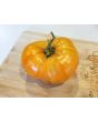Tomato 'Orange Jazz' 