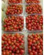 Tomato 'Sara's Galapagos' 