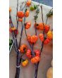Eggplant 'Pumpkin on a Stick'