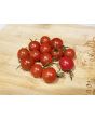 Tomato 'Koralik' 