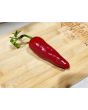 Hot Pepper ‘Espelette’