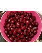 Beet 'Detroit Dark Red'