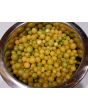 Ground Cherry