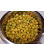 Ground Cherry Plant (4" Pot, single)