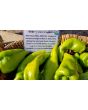Hot Pepper ‘Beaver Dam’ Seeds (Certified Organic) 