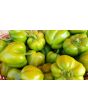 Hot Pepper ‘Hussli Tomato Pepper’ Seeds (Certified Organic)