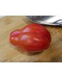 Tomato 'Scatalone 2'