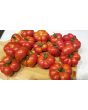 Tomato 'Ceylon' Seeds (Certified Organic)