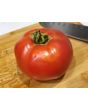 Tomato 'Costoluto Fiorentino' 