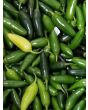 Hot Pepper ‘TAM Jalapeno’ Seeds (Certified Organic)