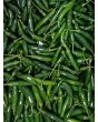 Hot Pepper ‘Serrano’ Seeds (Certified Organic) 