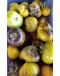 Tomato 'Xanadu Green Goddess'