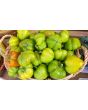 Hot Pepper ‘Hussli Tomato Pepper’ Seeds (Certified Organic)