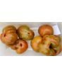 Tomato 'Large Barred Boar' 