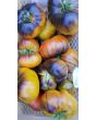 Tomato 'Ananas Bleue'