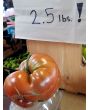 Tomato 'Cherokee Chocolate'