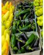 Hot Pepper ‘Early Jalapeno’ 