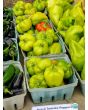 Hot Pepper ‘Hussli Tomato Pepper’ Seeds (Certified Organic)