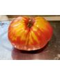 Tomato 'Uncle Johnny's Giant' 