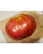 Tomato 'Uncle Johnny's Giant' 