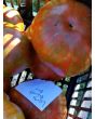 Tomato 'Large Barred Boar' 