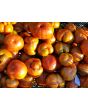 Tomato 'Large Barred Boar' 