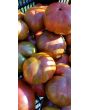Tomato 'Large Barred Boar' 