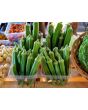 Okra 'Southern Belle' Seeds (Certified Organic) 