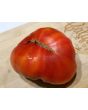Tomato 'Ananas Bleue'