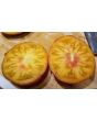 Tomato 'Ananas Bleue'