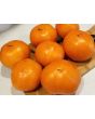 Tomato 'Moonglow' 