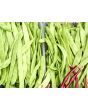 Pole Bean 'Helda' 