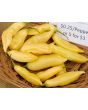 Hot Pepper ‘Sugar Rush Peach’ 