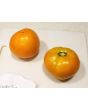 Tomato 'Golden Sunray' 