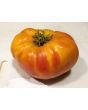 Tomato 'Striped German' 