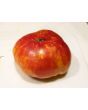 Tomato 'Striped German' 