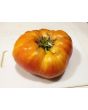 Tomato 'Striped German' 