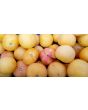 Tomato 'Garden Peach'