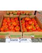 Tomato 'Striped Cavern' Seeds (Certified Organic)