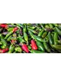 Crushed Jalapeno Peppers Harvested on our Farm, Certified Organic